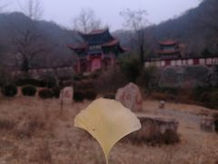 -遵化市禅林寺古银杏风景园