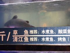 -爱妻鱼•老体北重庆水煮鱼•川菜(白云路店)