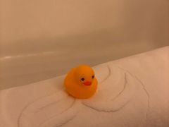 -上海浦东华美达大酒店