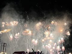 -南宁花花大世界景区