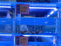 -泰谷酒店·太古码头闽菜自助餐厅