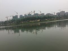 -枫香湖儿童公园