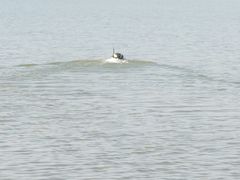 -漩门湾国家湿地公园