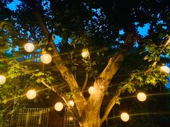 -Ginger(兴国路店)