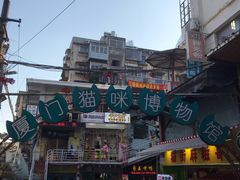 -猫咪博物馆(顶澳仔猫街店)