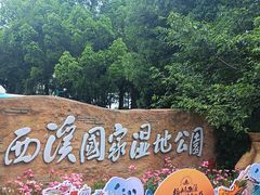 -西溪国家湿地公园