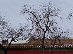 -故宫博物院(故宫)