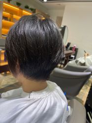 -心联形象设计·流星染