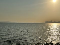 -深圳湾公园(南山区)