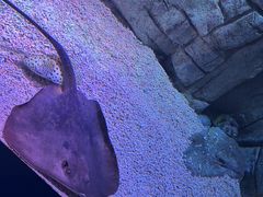 -欢乐海岸海洋奇梦馆