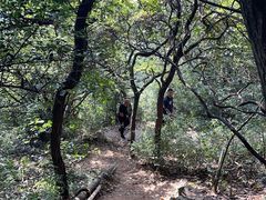 -杭州半山国家森林公园