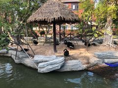 -灵玲国际马戏城