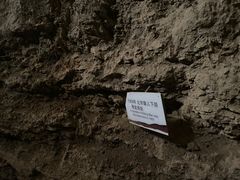 -北京周口店北京人遗址博物馆