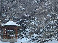 -少华山国家森林公园