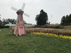 风车-保利石象湖景区