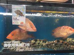 -盒马鲜生(曜一城店)