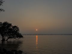 -宝安西湾红树林湿地公园