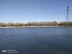 -大兴滨河森林公园