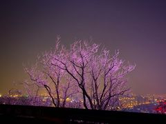 -红光山