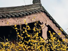 -钱王祠