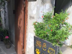 -猫色咖啡·猫咖