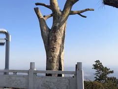 -长沙黑麋峰国家森林公园