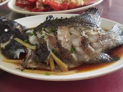 -霞姐屯昌枫木香草鸭店(海螺店)