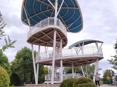 -铁山坪森林公园