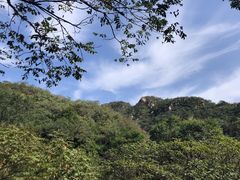 -大岭沟猕猴桃谷风景区