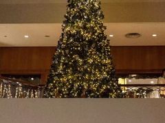 -马哥孛罗咖啡厅·Cafe Marco (厦门马哥孛罗东方大酒店)