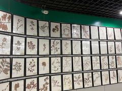 -郑州自然博物馆(惠济区)