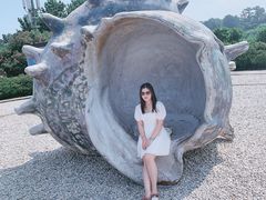 -柱状节理带