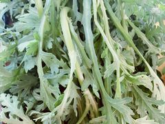 茼蒿-花水湾红太阳牛肉汤锅