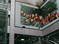 -百荣世贸商城