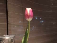 -王家渡火锅店(亦庄店)