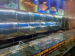 -海皇食府(水都假日酒店店)