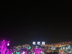 -枇杷园食为鲜火锅(南山店)