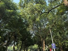 -西南政法大学(沙坪坝校区)