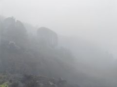 -玉苍山国家森林公园