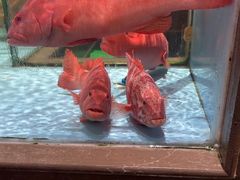 -阿伟海鲜楼·福建菜(延寿店)