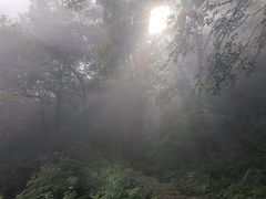 -终南山国家森林公园