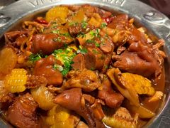 -高新活力汇Vitality