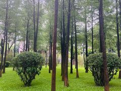 -晓港公园