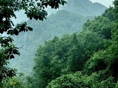 -洛阳白云山景区