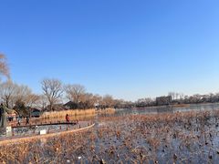 -护国寺小吃(新街口店)