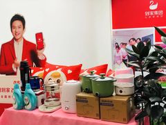 -天鹅到家·保姆月嫂育儿嫂(朝阳店)