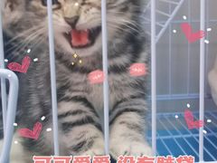 -龙溪(地铁站)