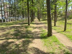 -长春市南湖公园