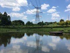 -紫颐香薰山谷景区