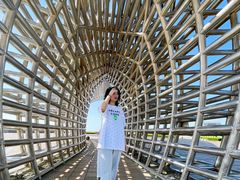 -南汇嘴观海公园